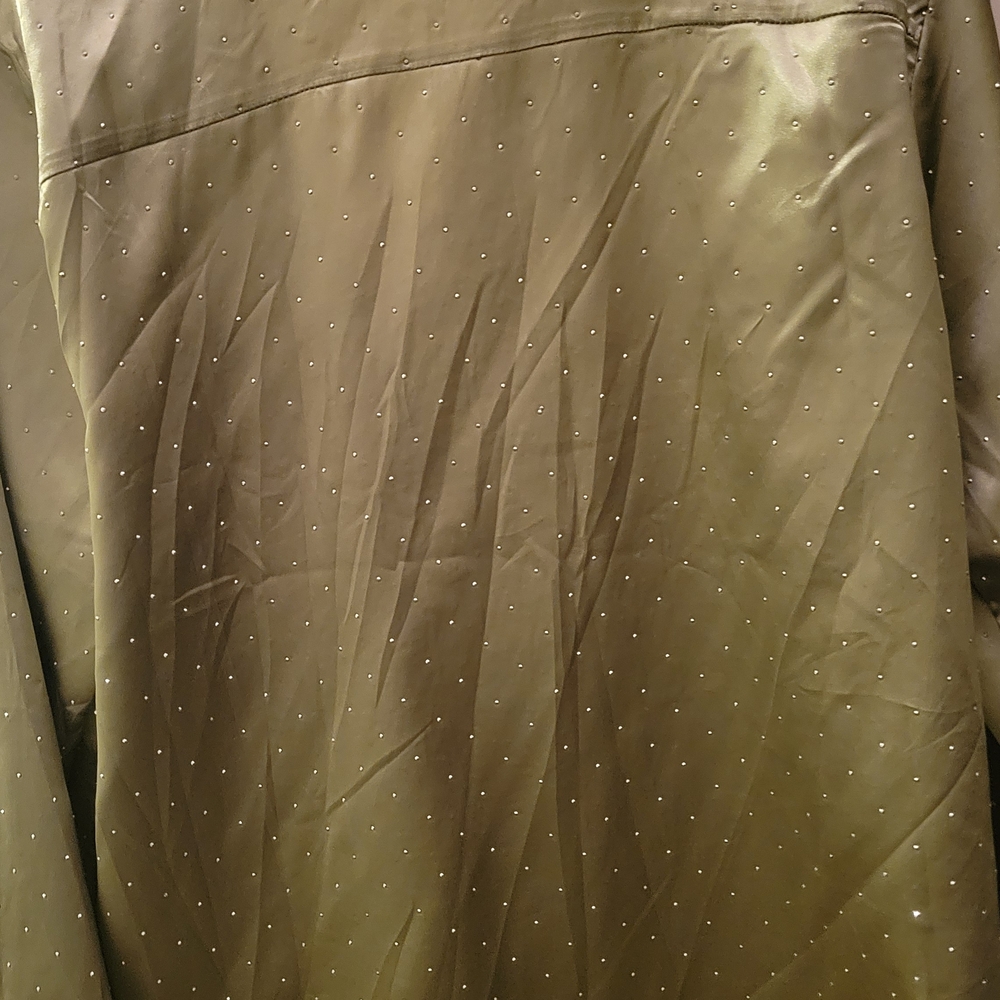 Satin Button-Up Shirt - Picture 4 of 4